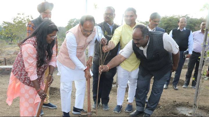 मुख्यमंत्री श्री चौहान ने स्मार्ट सिटी पार्क में किया पौध-रोपण